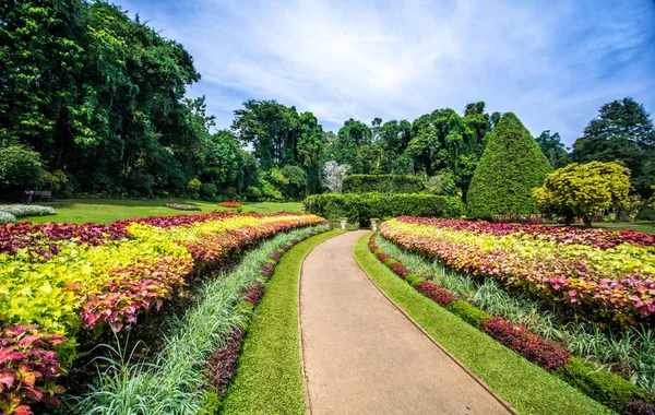 depositphotos_181265084-stock-photo-botanical-garden-peradeniya-kandy-royal