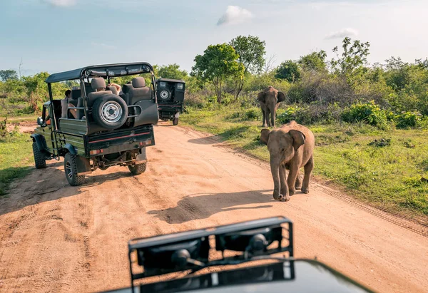 depositphotos_415266144-stock-photo-live-elephant-safari-tour-udawalawe