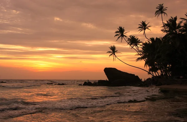 depositphotos_54941849-stock-photo-silhouetted-palm-trees-and-rocks