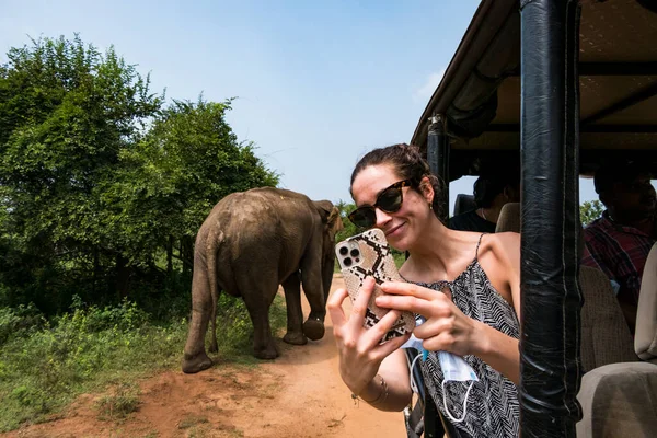 depositphotos_558050490-stock-photo-udawalawa-sri-lanka-elephants-udawalawe