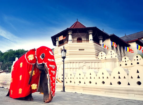 depositphotos_77936030-stock-photo-temple-of-the-tooth-of